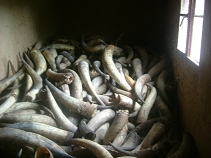 2007_11_16 Amahembe稼動後 026.jpg